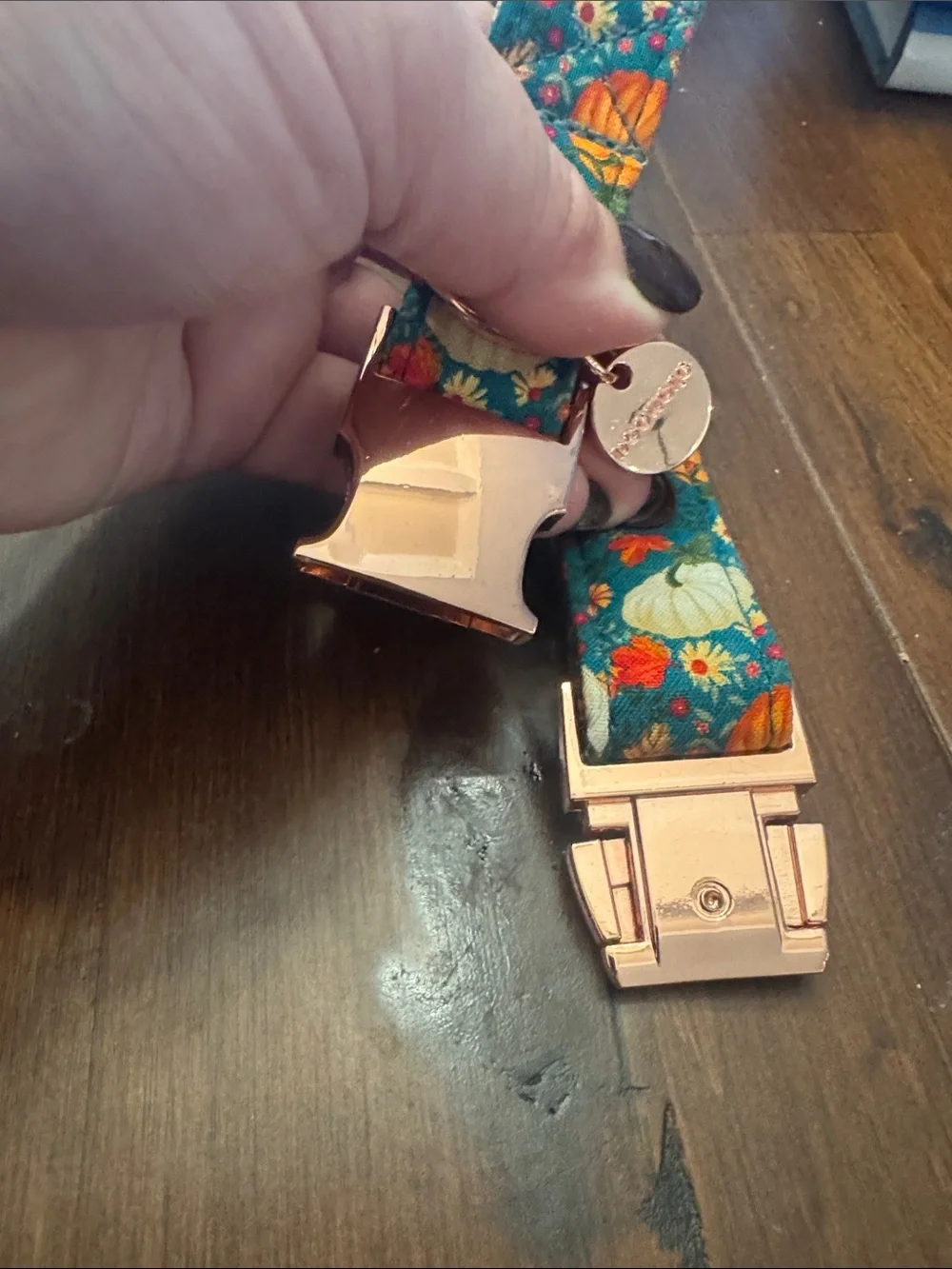 Brand New Dogwood Fall Dog Collar - teal with pumpkins and removable bow tie